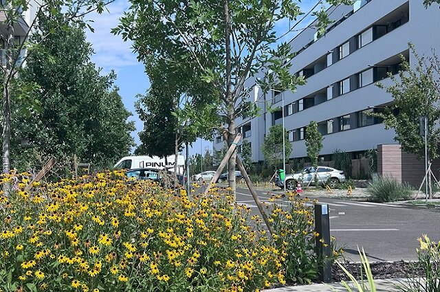 Sector 1 Apartament 4 camere Complex Rezidential AtriaResort